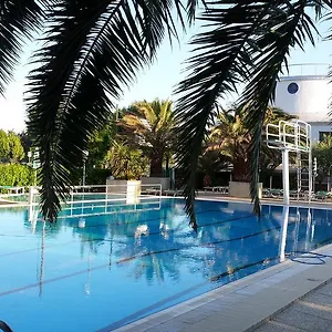 Cormoran Cattolica